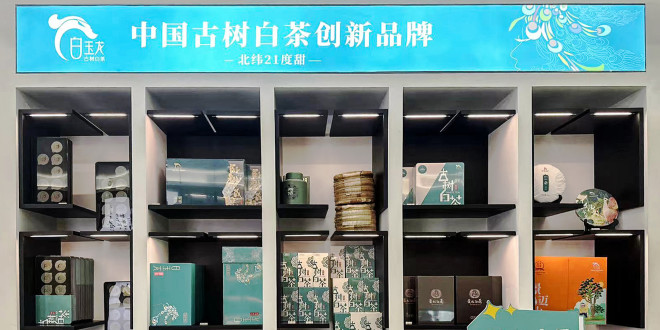 云南白茶