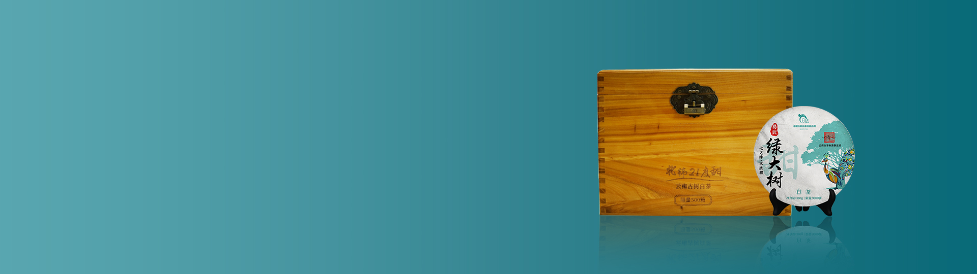 云南白茶